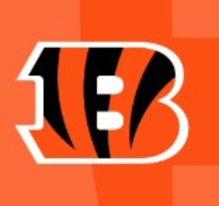 Picture for category Bengals