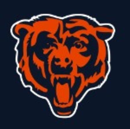 Picture for category Bears