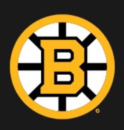 Picture for category Bruins