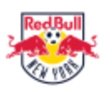 Picture for category New York Red Bull